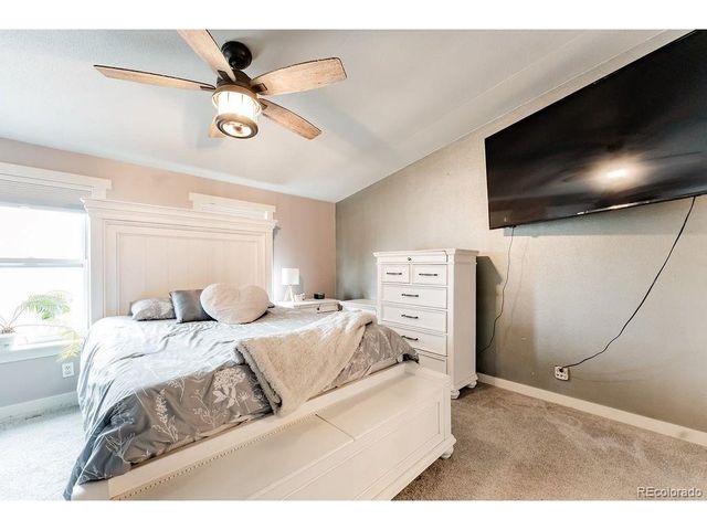 308 Sorrel St, Wellington, CO 80549