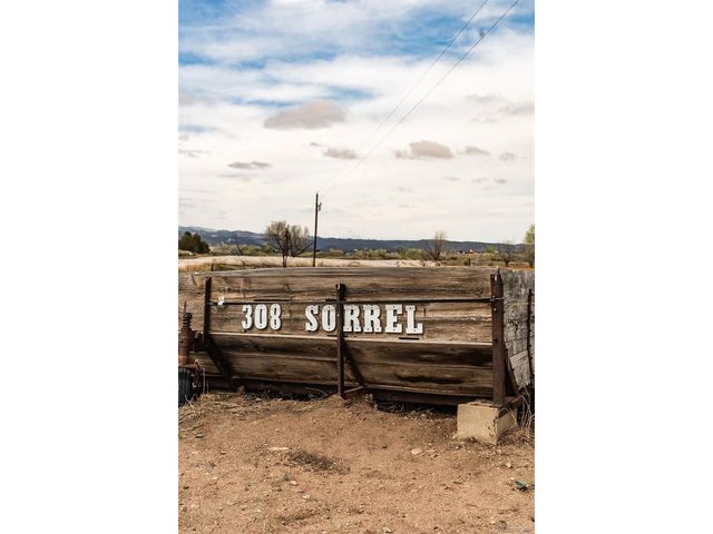 308 Sorrel St, Wellington, CO 80549
