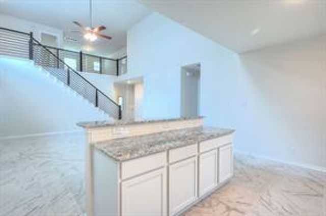 22234 Delphin Grove Drive, Hockley, TX 77447