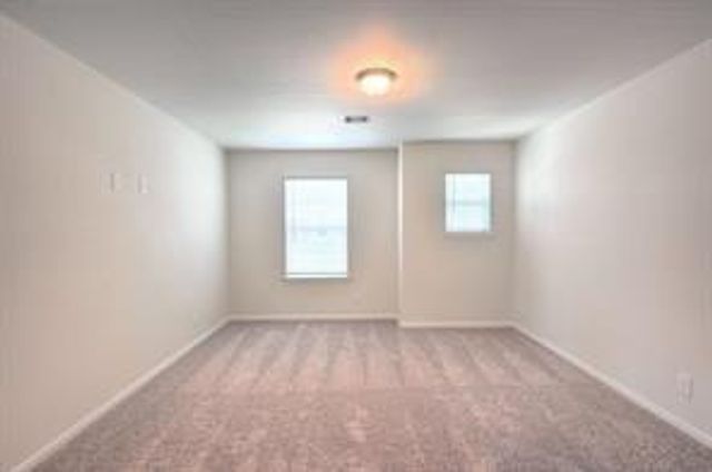 22234 Delphin Grove Drive, Hockley, TX 77447