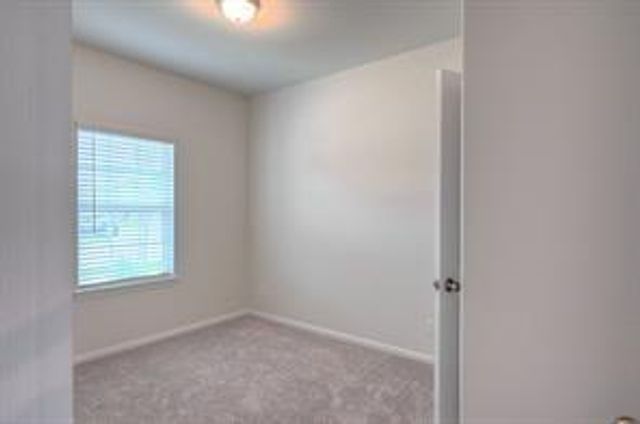 22234 Delphin Grove Drive, Hockley, TX 77447