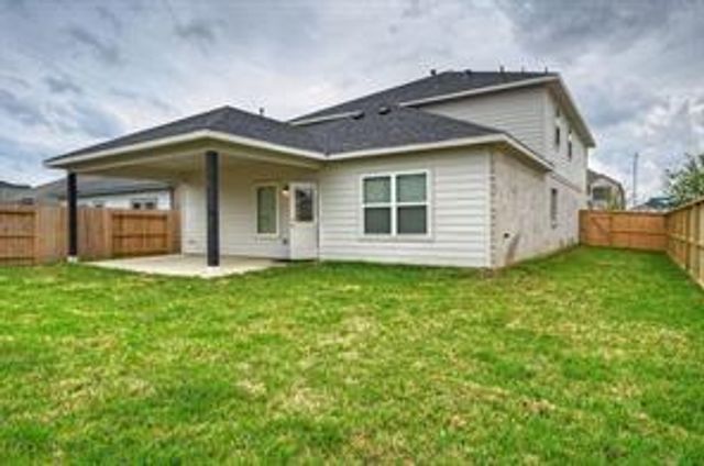 22234 Delphin Grove Drive, Hockley, TX 77447