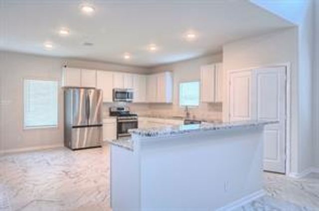 22234 Delphin Grove Drive, Hockley, TX 77447