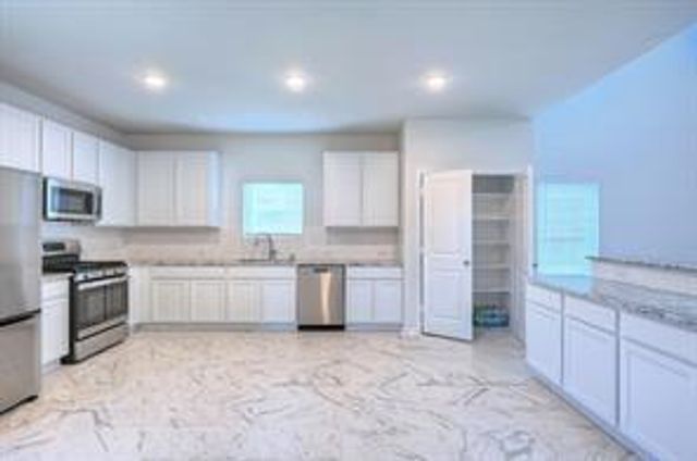 22234 Delphin Grove Drive, Hockley, TX 77447