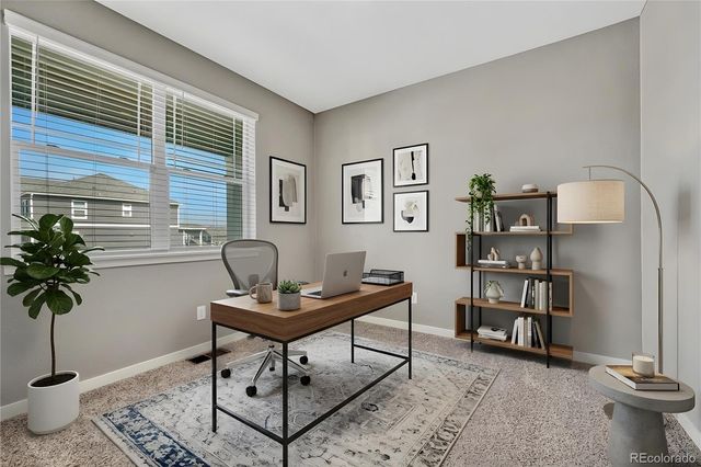 14032 Shasta Daisy Street, Parker, CO 80134