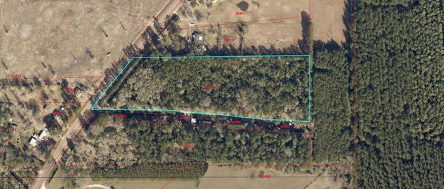 0000 Fm 1003, Kountze, TX 77625