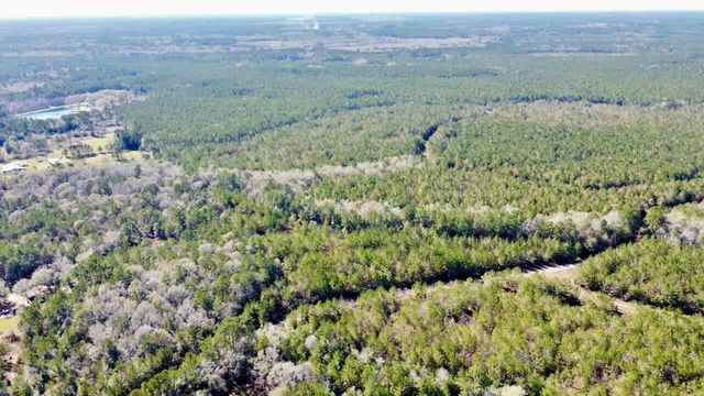 0000 Fm 1003, Kountze, TX 77625