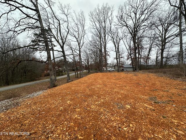 2100 Old Wolf River Rd, Jamestown, TN 38556