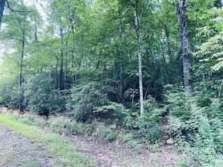 3 Rock And Roll Lane, Sylva, NC 28779
