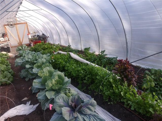 30704 Outerbelt Road S, Lee's Summit, MO 64086