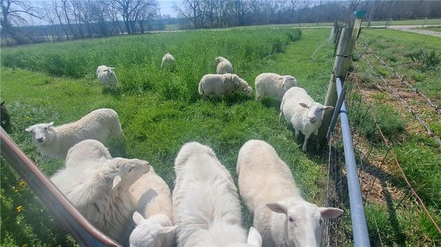 30704 Outerbelt Road S, Lee's Summit, MO 64086