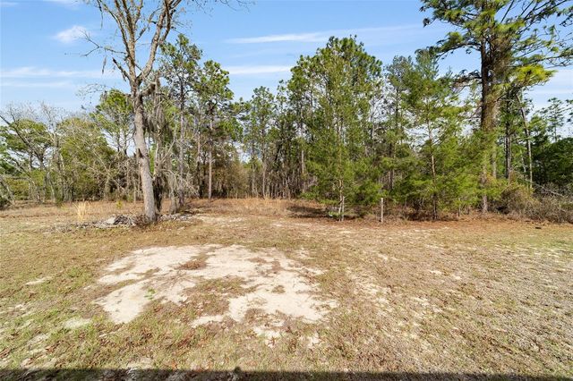 102 WHIRLWIND WAY, Hawthorne, FL 32640