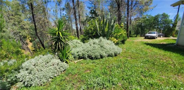 16080 Oakridge, Corning, CA 96021