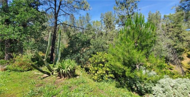 16080 Oakridge, Corning, CA 96021