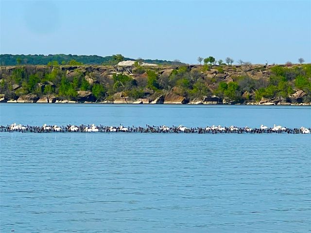 1957 Deer Trail Road, Possum Kingdom Lake, TX 76449
