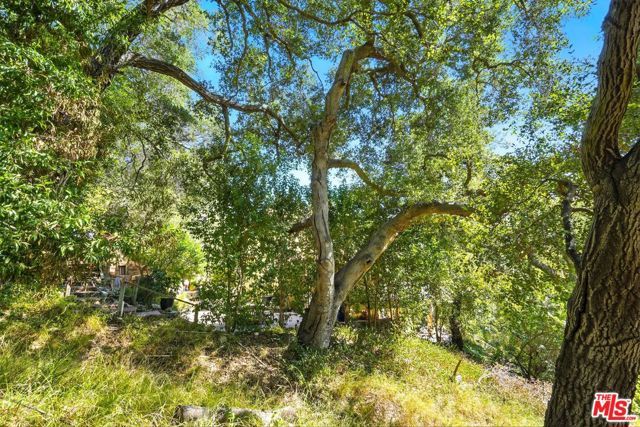 802 Old Topanga Canyon Rd, Topanga (los Angeles), CA 90290