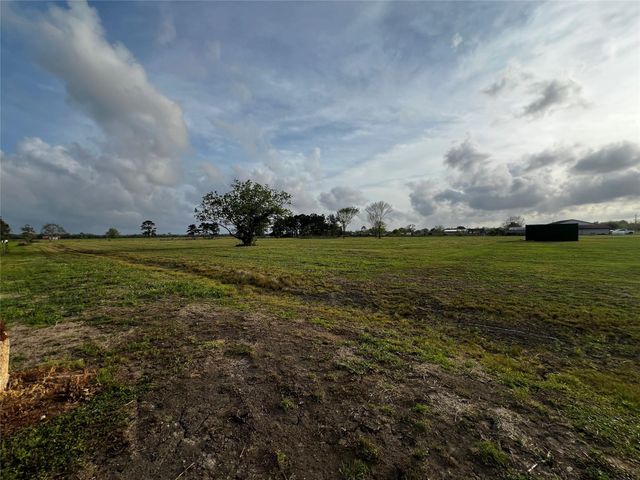 9715 County Road 171, Liverpool, TX 77577