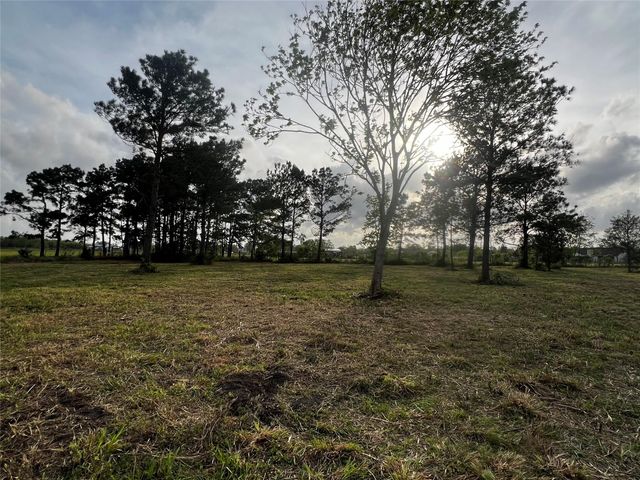 9715 County Road 171, Liverpool, TX 77577