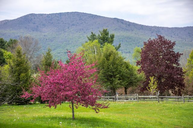 2677 Route 30, Dorset, VT 05251