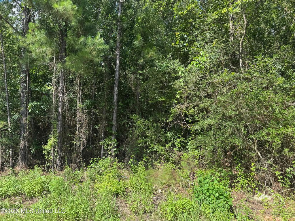 000 Schrader Court, Saucier, MS 39574