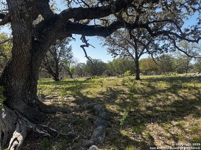 698 N Kahn, Rio Frio, TX 78879