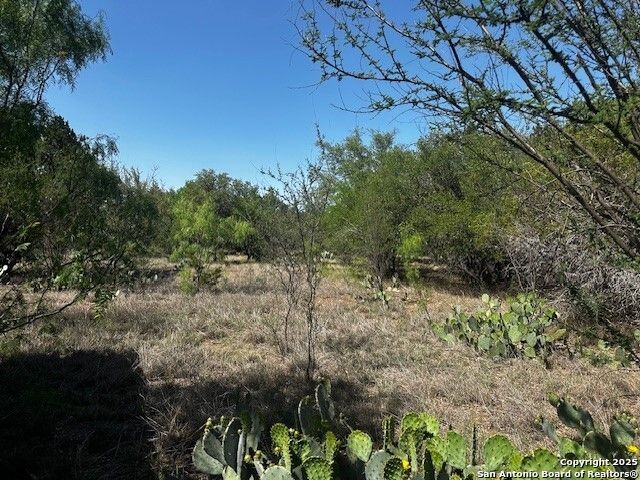 698 N Kahn, Rio Frio, TX 78879