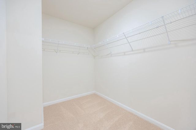 110 CHARING CROSS DR, Stephens City, VA 22655