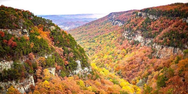 308 Cloud Road, Trenton, GA 30752