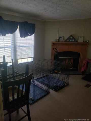 1998 Lewis McNeill Road, Red Springs, NC 28377