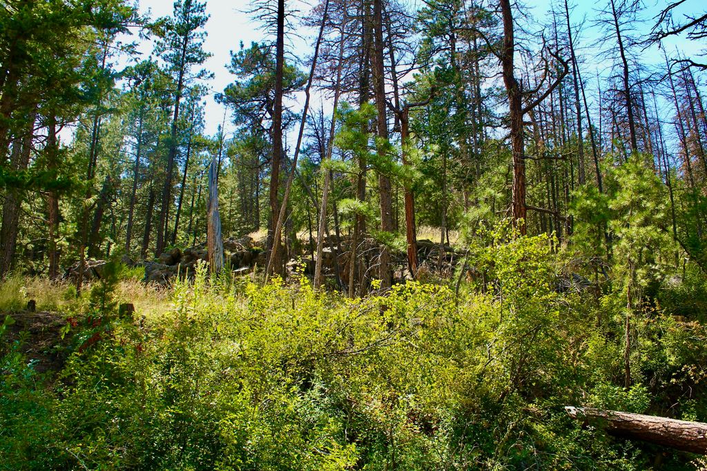 0 Box Canyon LN, Cascade, MT 59421