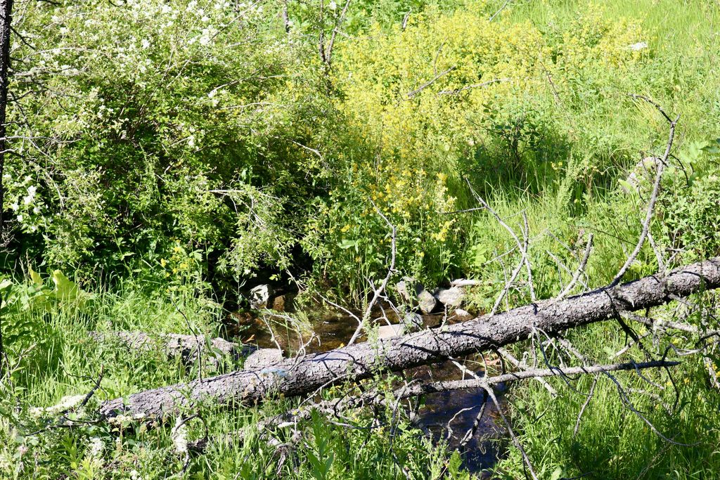 0 Box Canyon LN, Cascade, MT 59421 photo 10