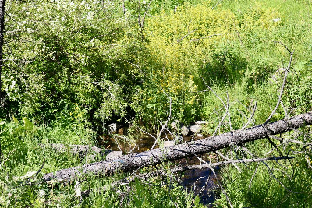 0 Box Canyon LN, Cascade, MT 59421 photo 11