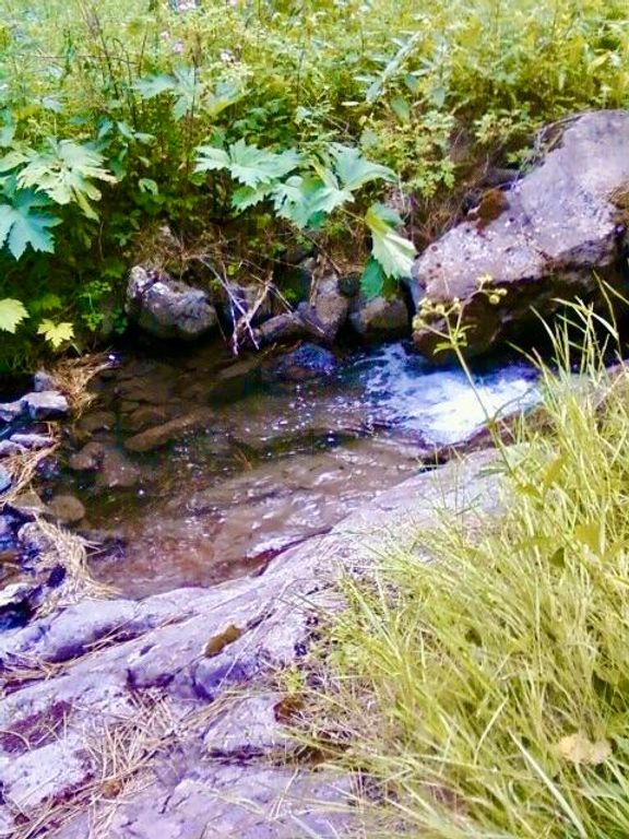 0 Box Canyon LN, Cascade, MT 59421 photo 2