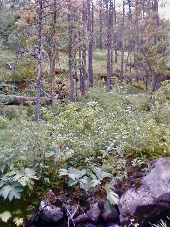 0 Box Canyon LN, Cascade, MT 59421 photo 3