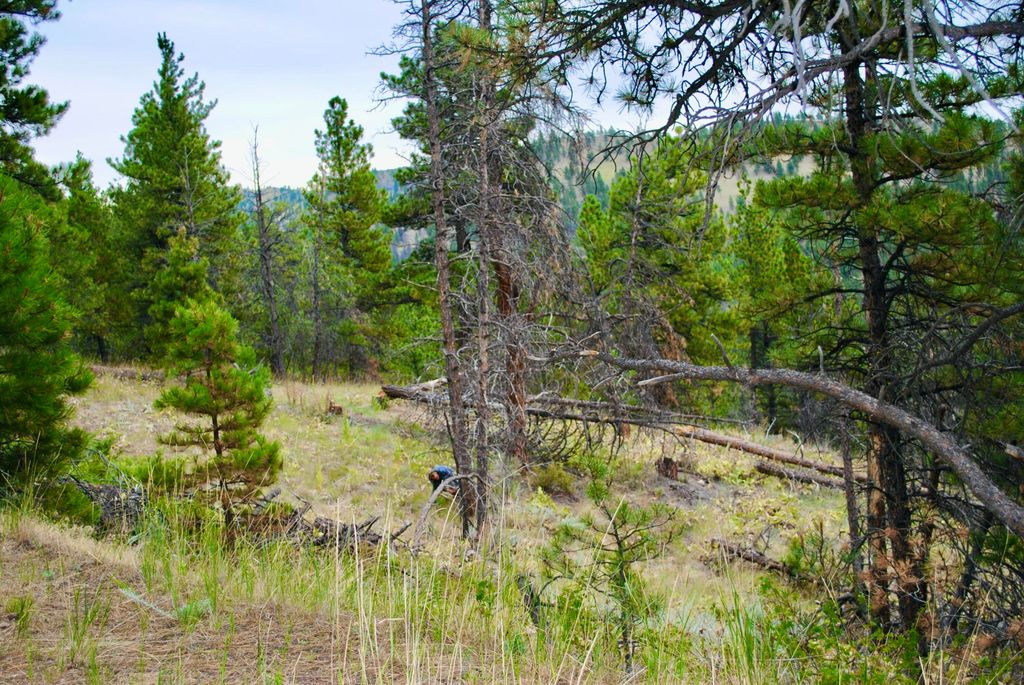 0 Box Canyon LN, Cascade, MT 59421 photo 4