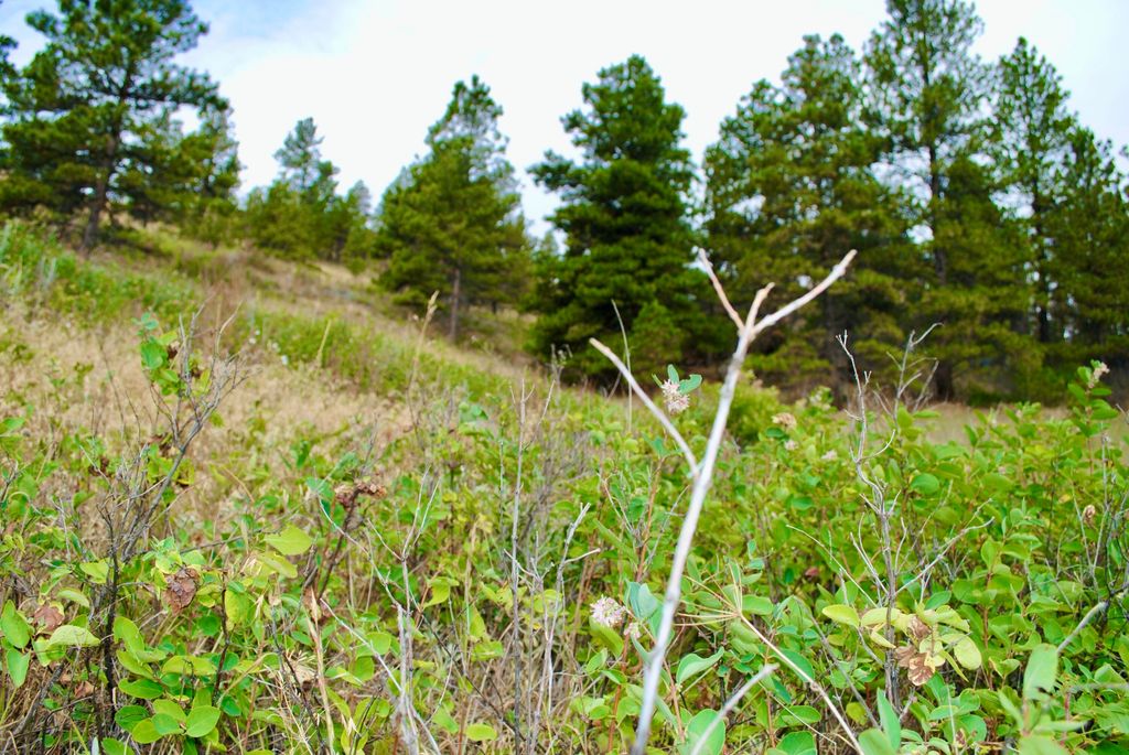 0 Box Canyon LN, Cascade, MT 59421 photo 6