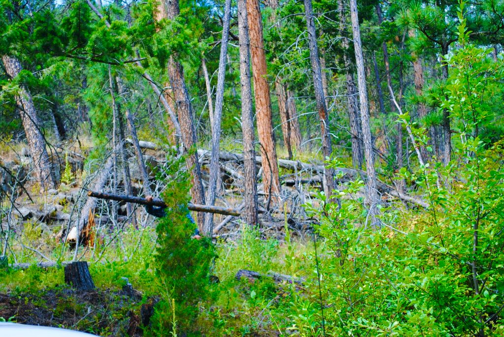 0 Box Canyon LN, Cascade, MT 59421 photo 7