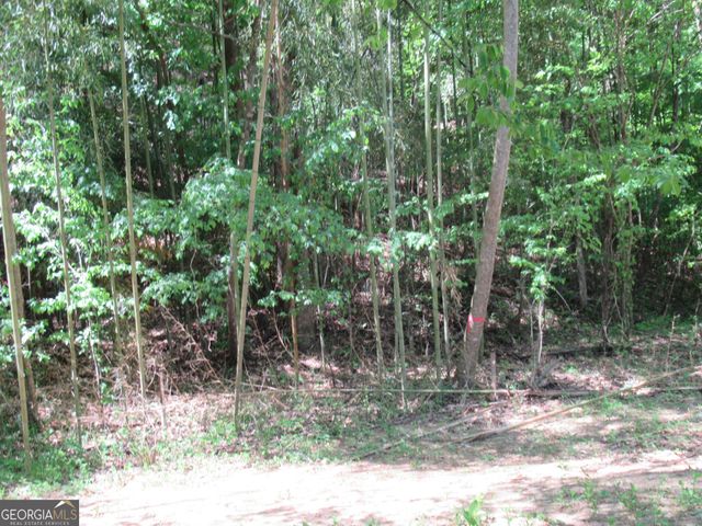 0 Chestatee Drive, Dahlonega, GA 30533