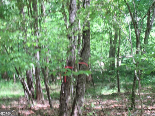 0 Chestatee Drive, Dahlonega, GA 30533