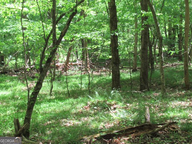 0 Chestatee Drive, Dahlonega, GA 30533