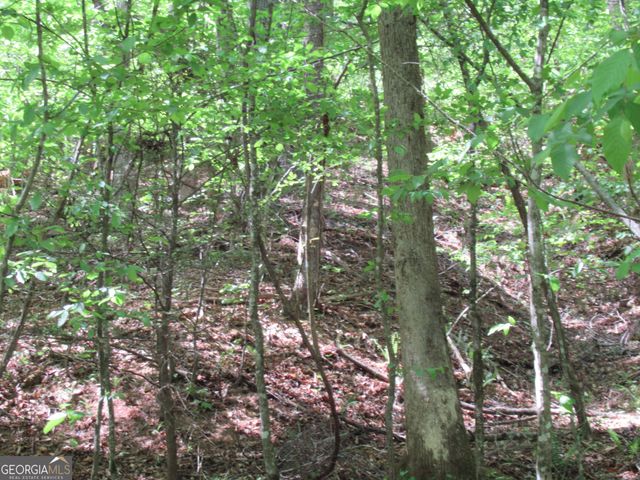 0 Chestatee Drive, Dahlonega, GA 30533