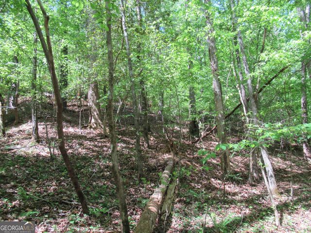 0 Chestatee Drive, Dahlonega, GA 30533