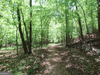0 Chestatee Drive, Dahlonega, GA 30533