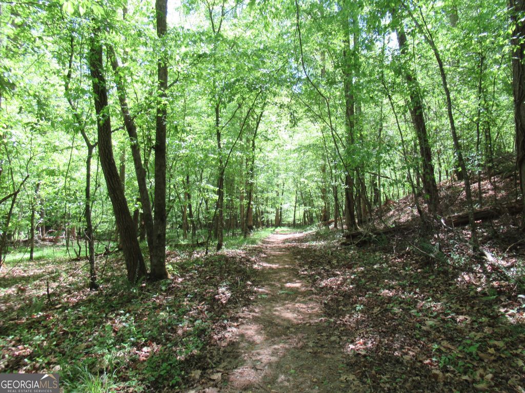 0 Chestatee Drive, Dahlonega, GA 30533
