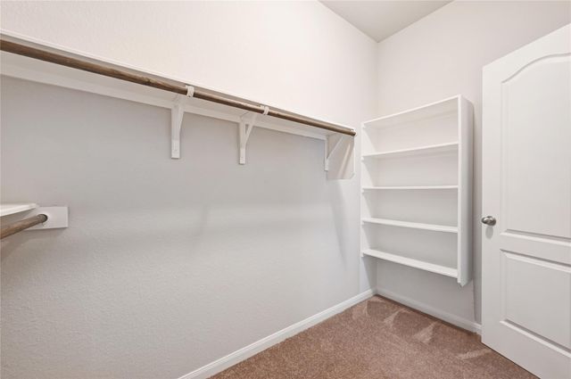 211 Timber Brook DR, Hutto, TX 78634