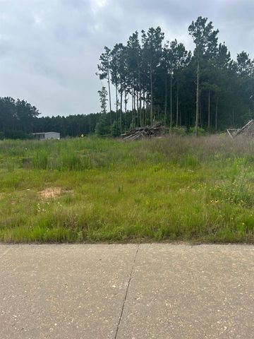 1517 Road 5894, Cleveland, TX 77327