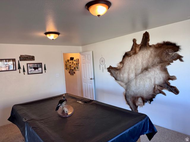 569 E PARK DR, Elk Ridge, UT 84651