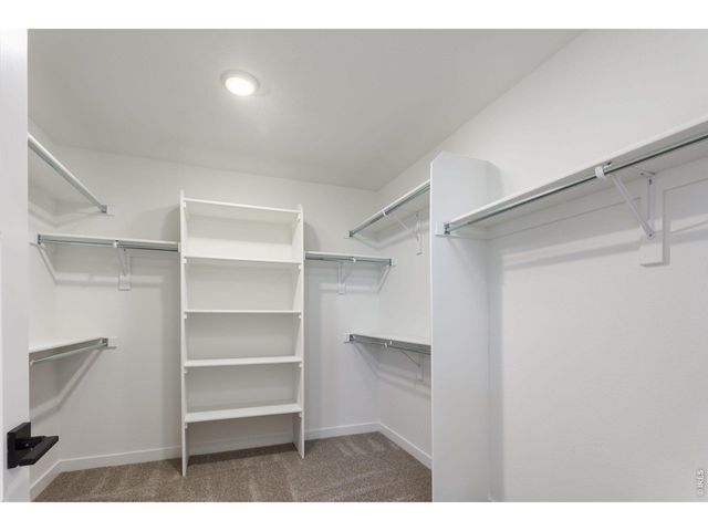 1651 Poplar Dr, Erie, CO 80516