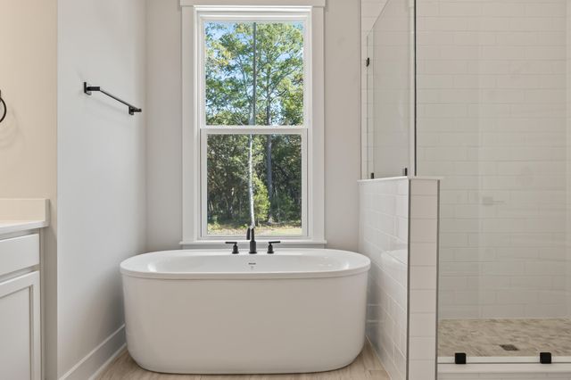 3663 Conch Street, Mount Pleasant, SC 29466