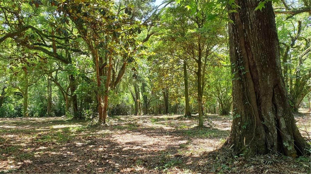 5377 Moffett Road, Mobile, AL 36618 — exterior